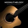 Download track Harmonic Strum