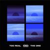 Download track Too Real