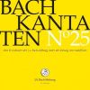 Download track 7. ER RUFET SEINEN SCHAFEN MIT NAMEN BWV 175 - 1. Rezitativ Tenor: Er Rufet Seinen Schafen Mit Namen