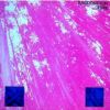 Download track Desire