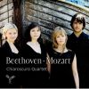 Download track 08 - String Quartet In E Flat Major No. 16, K. 428 - Andante Con Moto