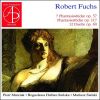 Download track 21.6 Phantasiestucke, Op. 117 - II. Ruhig Und Ausdrucksvoll