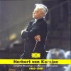 Download track Symphonie Nr. 3 F - Dur Op. 90 IV. Allegro