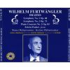 Download track 05 - J. Brahms. Piano Concerto No. 2. II. Allegro Apassionato