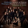 Download track Pictures At An Exhibition (Arr. S. Bouveret For String Ensemble) V. Ballet Of Unhatched Chicks In Their Shells