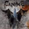 Download track The Uprising