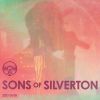Download track Silverton's A Place (Live At Radio Artifact)