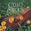 Download track Variations On A Rococo Theme, Op. 33, TH. 57- Variazione VI- Andante