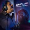 Download track What A Joy
