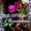 Download track Morning Fog