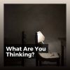 Download track Aesthetically Relaxing