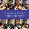 Download track Transient Blues