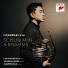 Download track Adagio And Allegro, Op. 70 II. Rasch Und Feurig