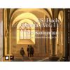Download track BWV. 113 - 4. Recitative (Bass): Jedoch Dein Heilssm Wort