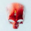 Download track Leben Vor Dem Tod