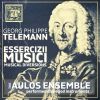 Download track Flute Sonata In D Major, TWV 41. D9: I. Largo