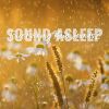 Download track Pure Evening Rain Sounds, Pt. 14