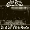 Download track See You Down The Road (Live)
