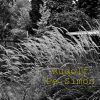 Download track Let Us Wait