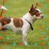Download track Background For Restless Puppies