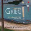 Download track Streichquartett No. 1 In G Minor, Op. 27: II. Romanze. Andantino - Allegro Agitato