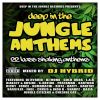 Download track Brockout (Jungle Citizens VIP)