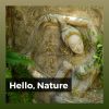 Download track Gentle Rain Nature's Relaxing Sounds
