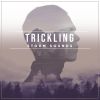Download track Natural Rain On The Plains