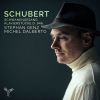 Download track Schwanengesang, D. 957 I. Liebesbotschaft