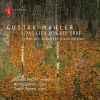 Download track Das Lied Von Der Erde (Autograph Version For Voice And Piano) II. Die Einsame Im Herbst