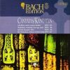 Download track Ach Herr, Mich Armen Sünder BWV 135 - II Recitativo (Tenore)