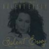 Download track Her Gece Yollarda Gözledim Seni