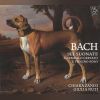 Download track Sei Suonate Ã  Cembalo Certato Ã¨ Violino Solo. Violin Sonata No. 1 In B Minor BWV 1014: I. Adagio