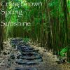 Download track Spring Sunshine