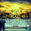 Download track All My Nigga's Fly