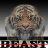 Download track Go Ham