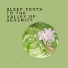 Download track 1 Hour Of Soft Water Streams, Pt. 22