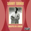 Download track Wrapped Up In A Dream