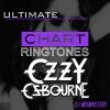 Download track You Can't Kill Rock And Roll (Originally Performed By Ozzy Osbourne)
