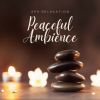 Download track Relaxation Massage Music