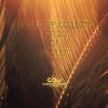 Download track Shadow In The Rose Garden (Matt Lange Remix)