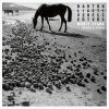 Download track Bartók: Sonata For Violin Solo, Sz. 117: II. Fuga. Risoluto, Non Troppo Vivo