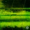 Download track Lunar Effect (Original Mix)