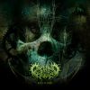 Download track Mortal Immortal