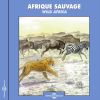 Download track A Heard Of Blue Wildebeets (Un Troupeau De Gnous À Queue Noire)