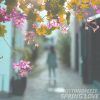 Download track A Small Bird And Dandelions