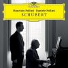 Download track 3. Piano Sonata In G Major D 894 - III. Menuetto. Allegro Moderato
