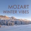 Download track Divertimento In D Major, K. 136: 3. Presto