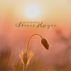 Download track Torn Of Blues
