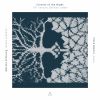 Download track Waldszenen, Op. 82- No. 9, Abschied